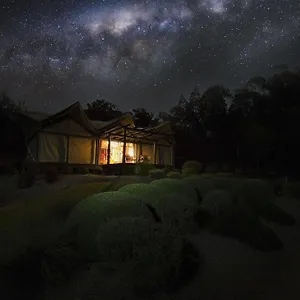 Alure Stanthorpe